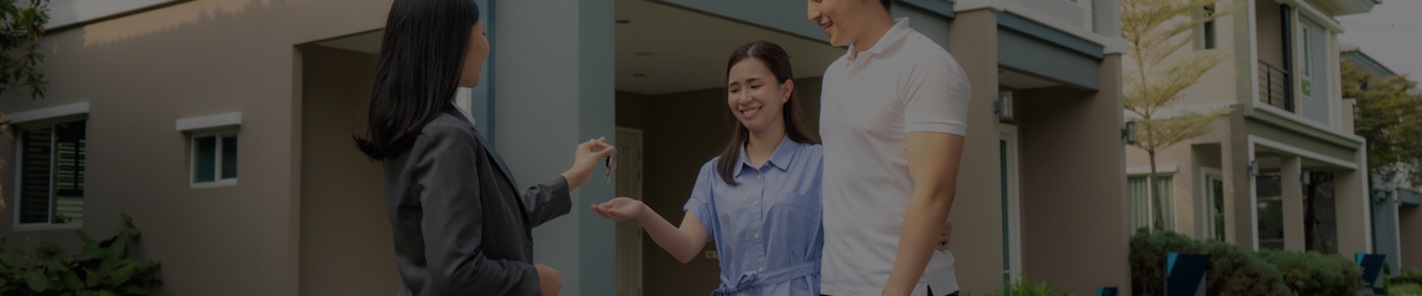 Search Bar Background